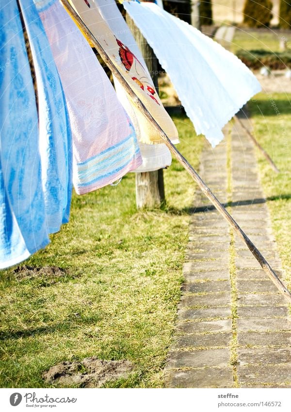 washing day Laundry Washer Hang up Dry Towel Bedclothes Washing Wind Blow Clothesline Clean Pure Detergent Garden Household Washing day Housekeeping