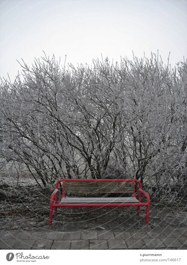 Red (the park bench) Ameland Island Mud flats Netherlands Friesland district Winter 2007 Vacation & Travel Hoar frost Humidity Pelt Overlaid Icing Cold Frost