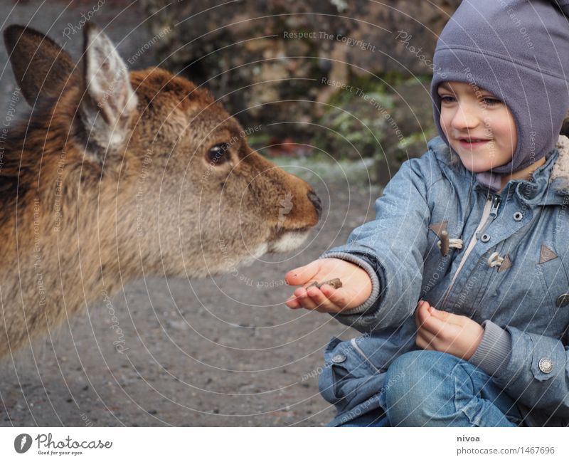 Feeding Food Human being Masculine Child Boy (child) 1 3 - 8 years Infancy Fashion Jeans Jacket Cap Animal Wild animal Roe deer Observe Discover Eating Smiling