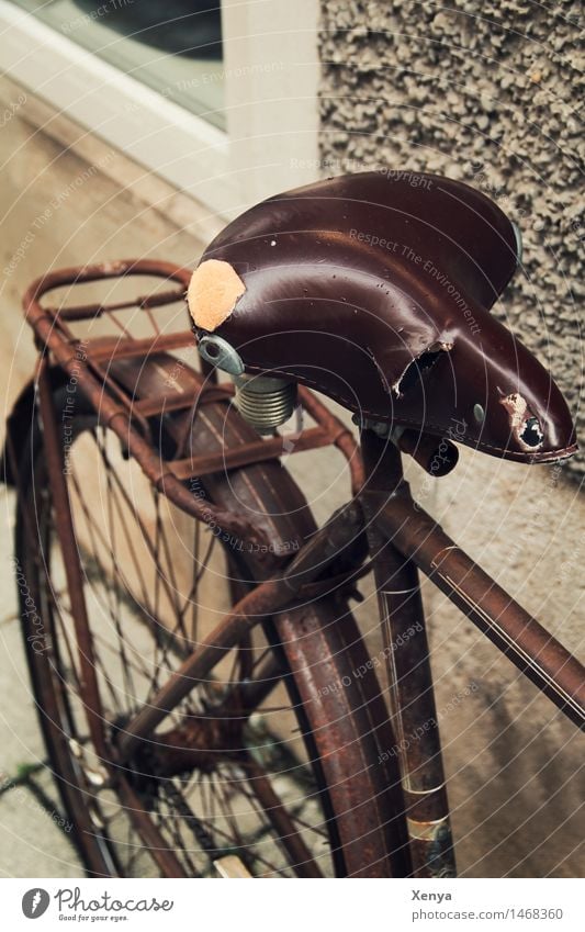 Retro bicycle saddle Bicycle Metal Rust Brown Nostalgia Bicycle saddle Old Leather Exterior shot Deserted Day Colour photo Shallow depth of field Subdued colour