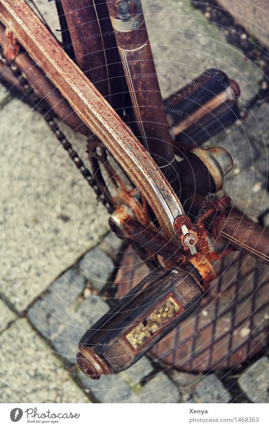 Retro bicycle pedal Bicycle Metal Rust Brown Nostalgia Old Pedal Exterior shot Deserted Day Colour photo Detail Subdued colour Shallow depth of field