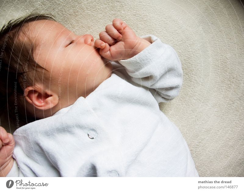 KNOCK-OUT Baby Offspring Girl Sleep Dream Calm Contentment Face of a child Portrait photograph Bright background 1 Person Individual Cute Peaceful Profile