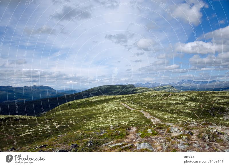 Hiking trail in Rondane National Park in Norway hiking trail Hill Mountain path Vantage point Panorama (View) Landscape Rock Nature Far-off places Tourism Peak