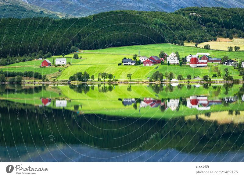 Mountain lake in Norway Relaxation Vacation & Travel House (Residential Structure) Nature Landscape Water Lake Hut Building Idyll Tourism Møre og Romsdal