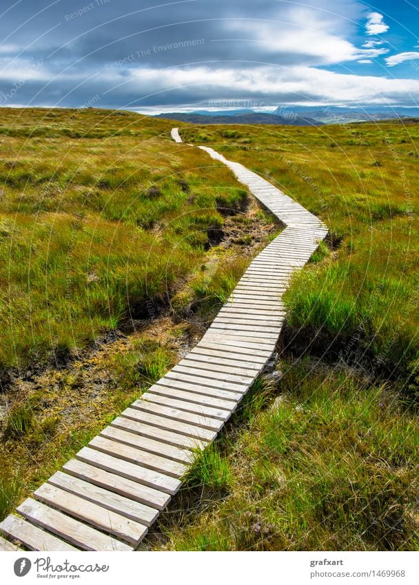 Narrow wooden path through heathland in Scotland Vacation & Travel Trip Adventure Far-off places Freedom Summer Hiking Environment Nature Landscape Sky Clouds
