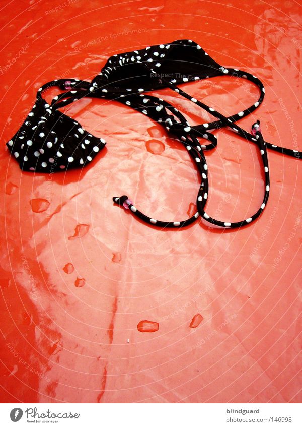 discarded Bikini Top Extract Swimming & Bathing Vacation & Travel Meaning Swimming pool Black White Cup size Disobedient String Open Table Blanket Water