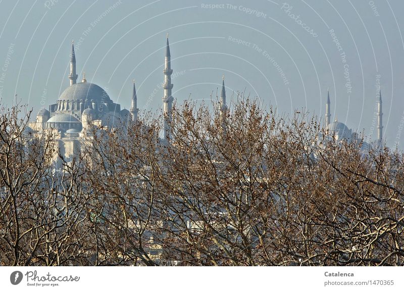 The Blue Sultan Ahmed Mosque travel Tourism Trip City trip Church service Education iman Istanbul Turkey Near East + Southeast Europe Minaret Domed roof