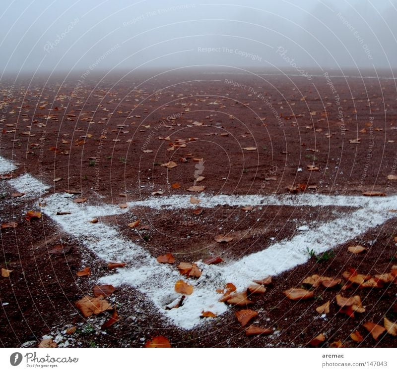corner Football pitch Autumn Leaf Fog Playing Sports Leisure and hobbies Line Soccer Corner Ashes ash pit