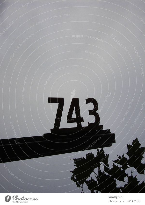 743 Digits and numbers Metal Black Blue Slate blue Sky Leaf Signs and labeling Detail Obscure