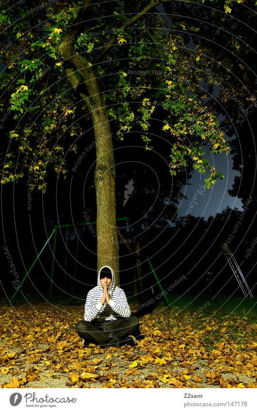 meditation Meditation Calm Night Exposure Tree Meadow Autumn Leaf Dark Prayer Religion and faith Yoga Culture Think Spirituality Consciousness Awareness