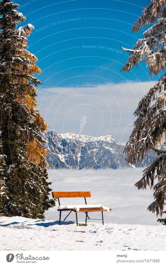 Time to enjoy Relaxation Calm Trip Winter Snow Winter vacation Mountain Nature Landscape Sky Beautiful weather Simple Multicoloured Break Bench Vantage point