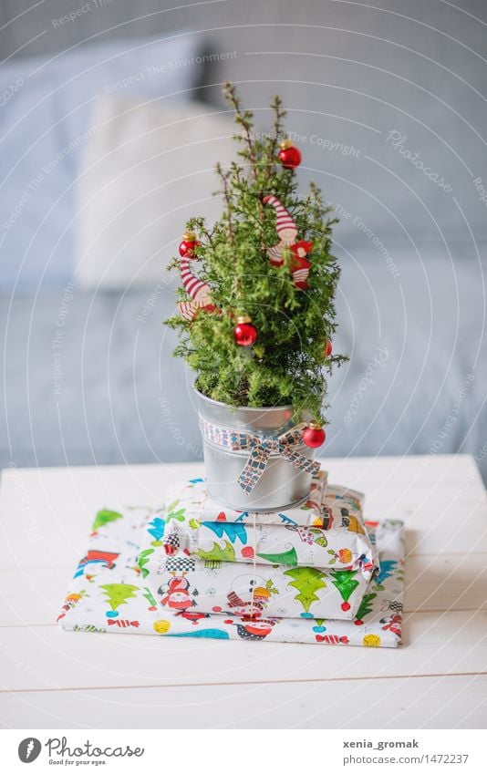 Christmas Feasts & Celebrations Christmas & Advent Tree Foliage plant Pot plant Exotic Green Red Silver Happy Happiness Gift Packaged Christmas tree Bow