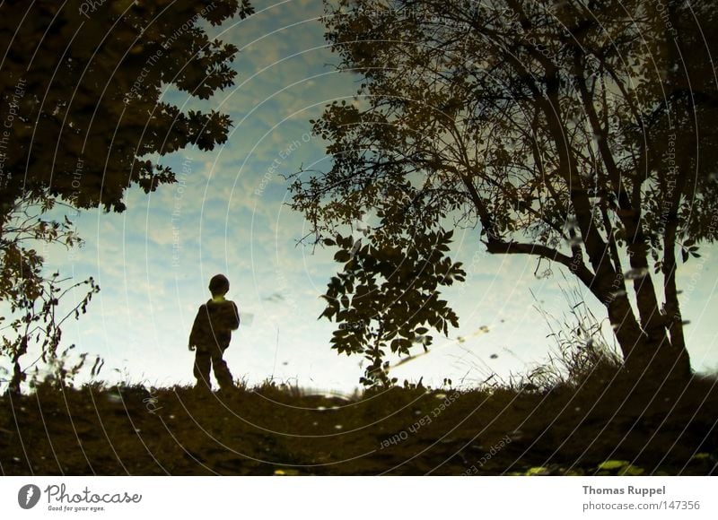 stream of heaven Colour photo Exterior shot Copy Space top Day Child Human being Masculine Boy (child) Infancy 1 3 - 8 years Nature Sky Autumn Tree Grass Bushes