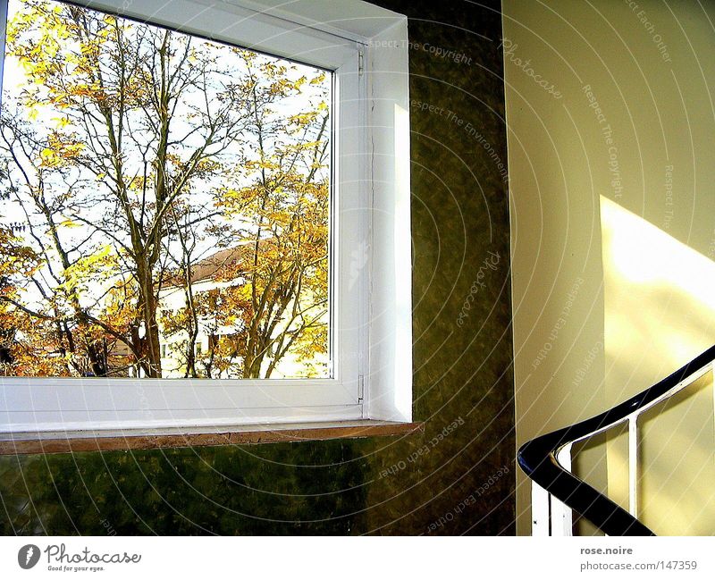 Welcome Mr. Herbst Autumn Light Calm Physics Tree Window Idyll Warmth Stairs