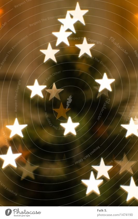 Christmas tree, abstract with stars Christmas & Advent Fairy lights Coniferous trees Decoration Star (Symbol) Feasts & Celebrations Glittering Illuminate Stand