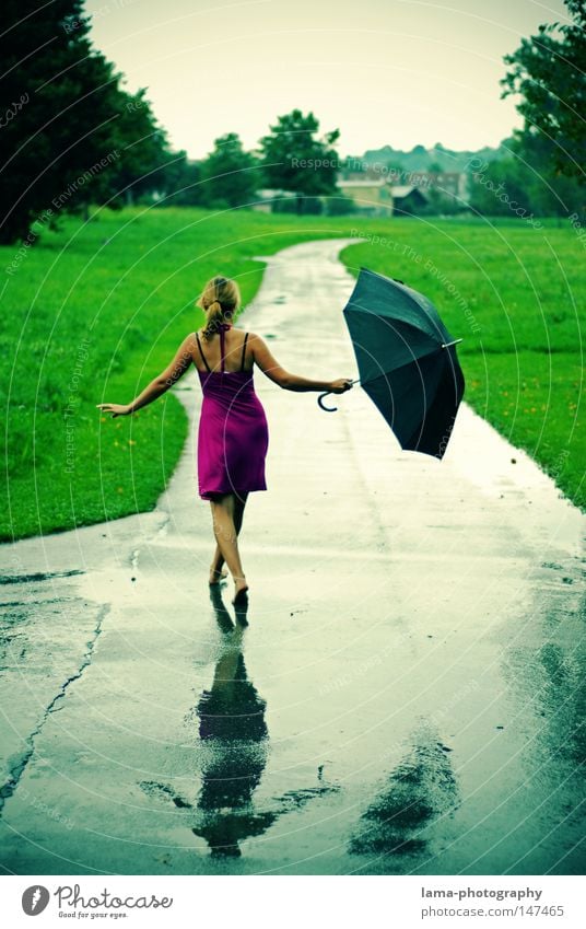 Singin' in the rain Rain Weather Thunder and lightning Autumn Summer Wet Puddle Lanes & trails Meadow Field Cold Umbrella Damp Dress To go for a walk Walking