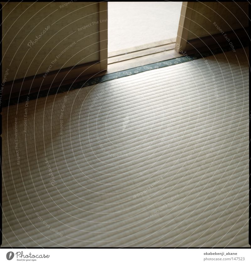 Tatami Japan Light Light (Natural Phenomenon) Shadow Tokyo Structures and shapes Nostalgia tatami lightning effect Structures and forms Hasselblad