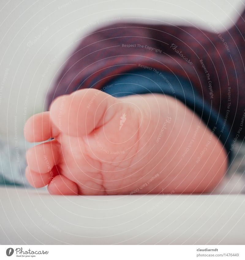 Are so small feet... Human being Baby Feet 1 0 - 12 months Pants Love Lie Small Cute Beautiful Emotions Happy Safety (feeling of) Joie de vivre (Vitality) Toes