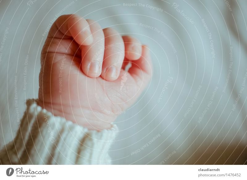 Are such small hands... Human being Baby Infancy Life Hand Fingers 1 0 - 12 months Sweater Small Cute Beautiful Happy Joie de vivre (Vitality) Protection
