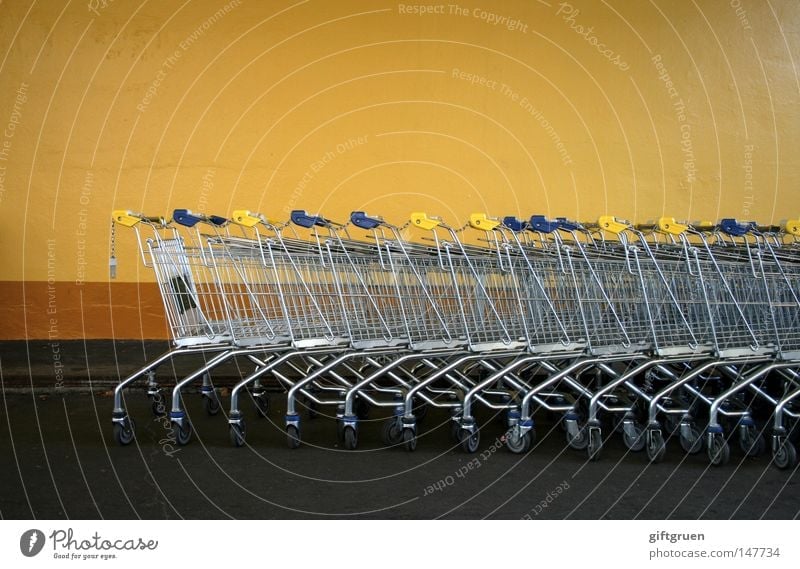 shopping 1.0 Shopping Trolley Supermarket Consumption Containers and vessels Pattern Shopaholic Structures and shapes Many Sequence Shopping basket