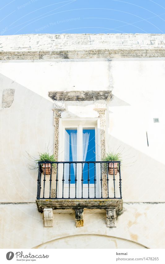 neat Curtain Cloudless sky Summer Beautiful weather Pot plant monopoly Apulia Italy Small Town Old town House (Residential Structure) Building Wall (barrier)