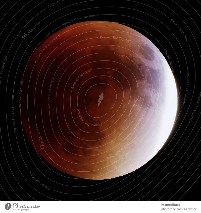 super blood moon Night sky Moon Lunar eclipse Full  moon Large Yellow Red Black Science & Research Astronautics Dark Telescope Zoom effect Detail Universe
