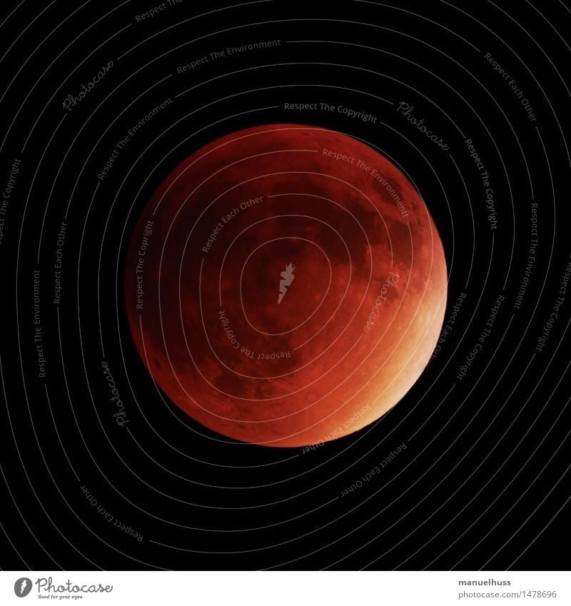 super blood moon Night sky Moon Lunar eclipse Full  moon Large Red Science & Research Astronomy Astronautics Dark Telescope Zoom effect Detail Universe