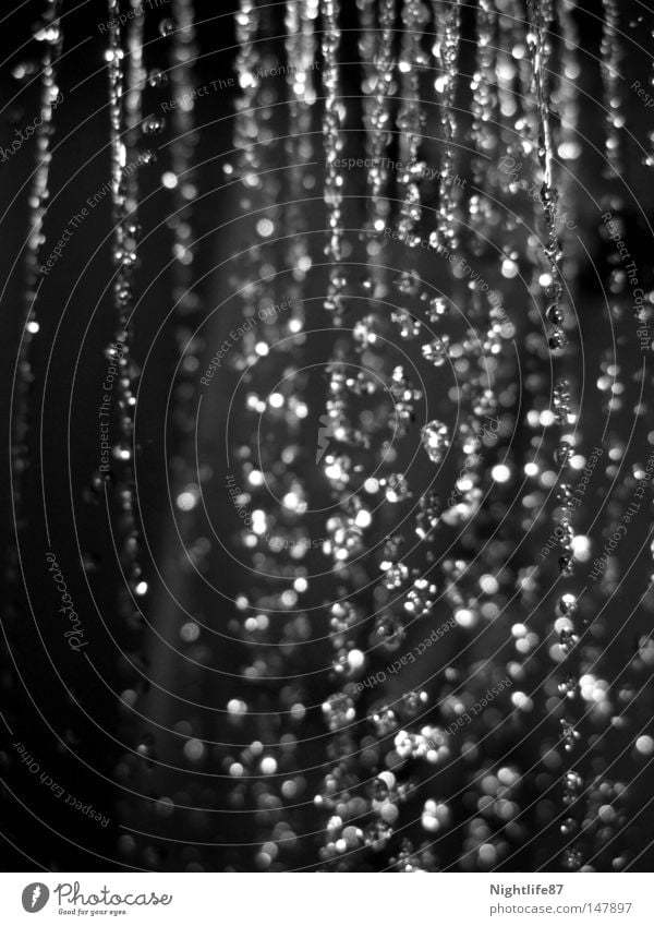 shower of pearls Black & white photo Detail Structures and shapes Deserted Deep depth of field Water Drops of water Fluid Wet Clean Refreshment Take a shower