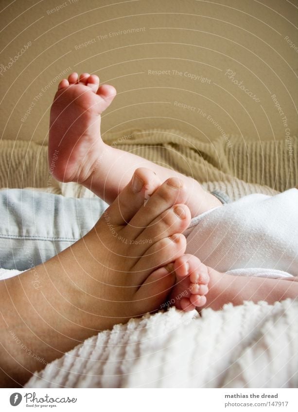 FEET II 2 Couple Child Family & Relations Feet Baby Large Small Lie Relaxation Sole of the foot Boy (child) Rest Break Diminutive Legs Human being Calm Footwear