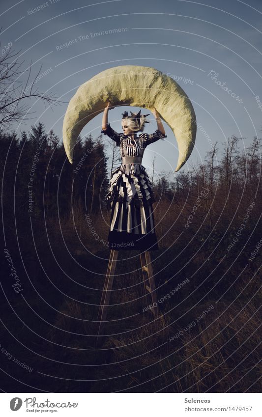 croissant Human being Feminine Woman Adults 1 Environment Nature Moon Autumn Meadow Field Dress White-haired Wig Ladder To hold on Dream Enchanted forest