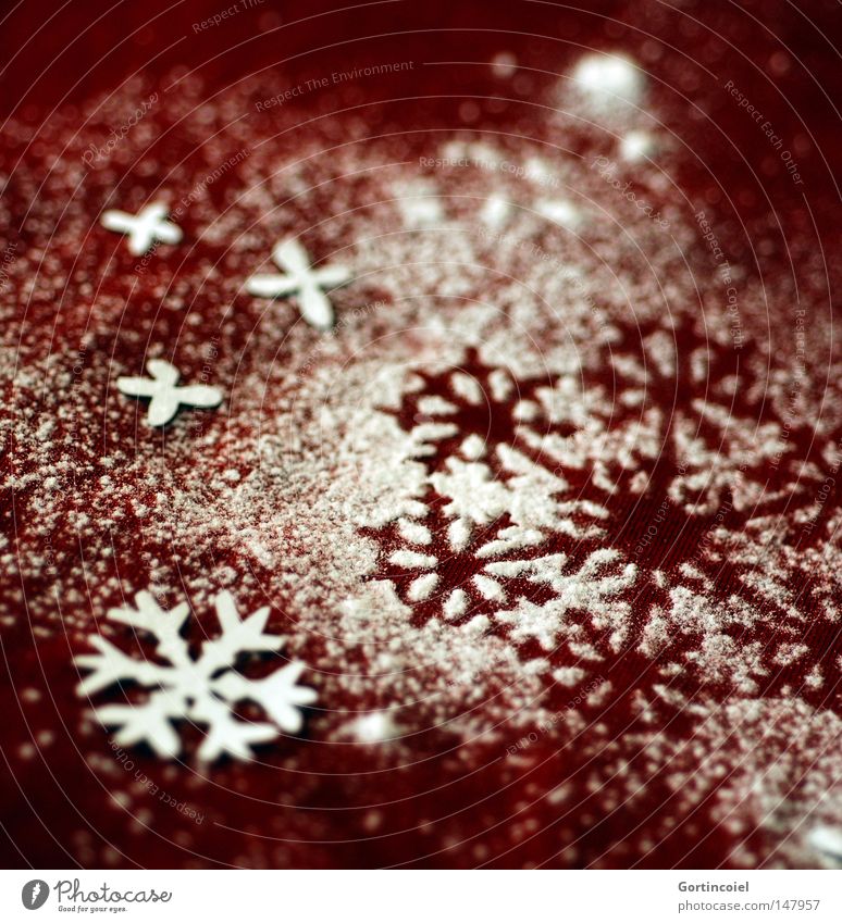 snowflakes Winter Snow Feasts & Celebrations Decoration Beautiful Christmas decoration Pensive Embellish Snowflake Flake December Seasons Christmas & Advent