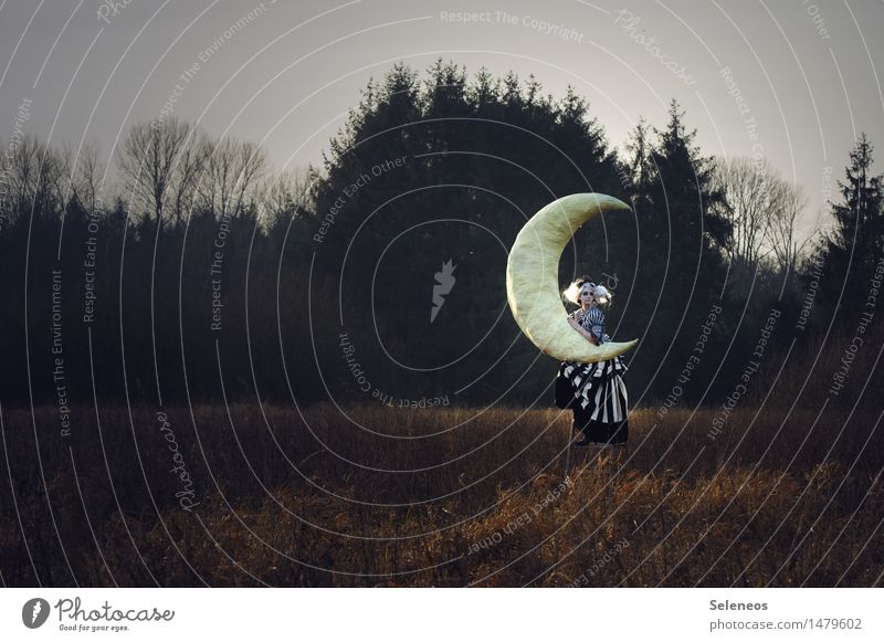 moon Far-off places Freedom Human being Feminine Woman Adults 1 Subculture Rockabilly Environment Nature Landscape Sky Moon Autumn Winter Bushes Meadow Field