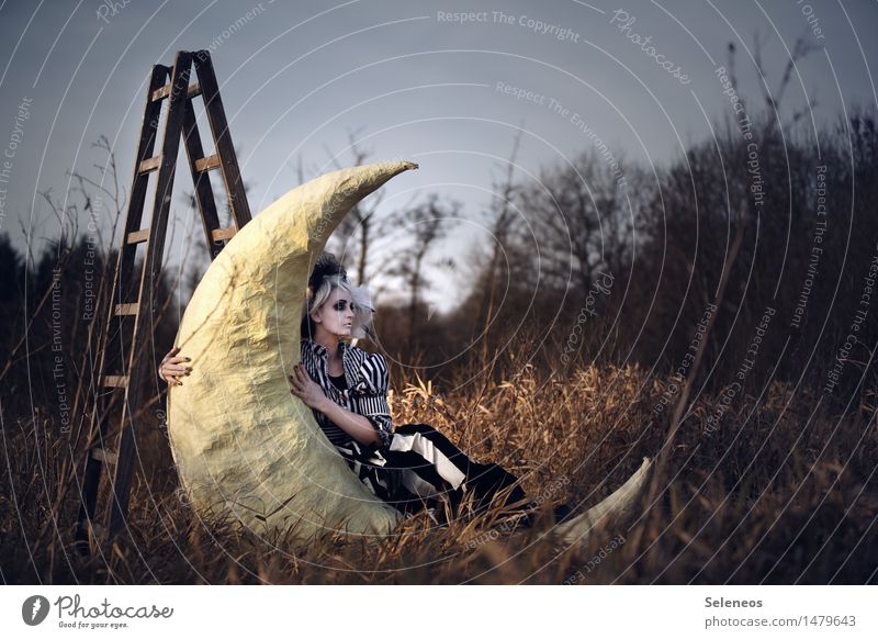 moon Human being Feminine Woman Adults 1 Subculture Rockabilly Environment Nature Landscape Moon Autumn Meadow Field Ladder To hold on Dream Fairytale landscape