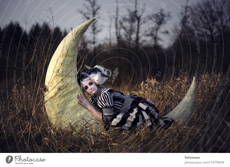Night night, sleep tight Relaxation Calm Human being Feminine Woman Adults 1 Rockabilly Environment Nature Moon Autumn Tree Meadow Field White-haired Wig Dream