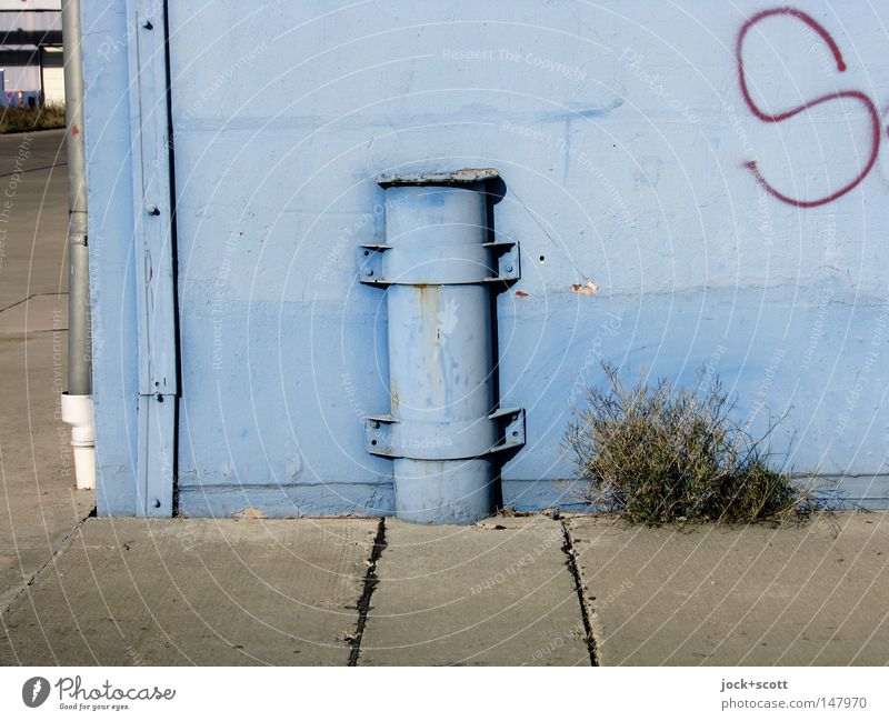 blue elise Plant Blue Colour Transience Bollard Paints and varnish Column Corner Iron-pipe Pipe Unicoloured Molding Clamping piece Robust Ravages of time GDR