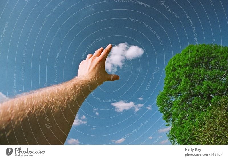 Got you... Clouds Sky Blue Beautiful weather Blue sky Absorbent cotton Sheep Altocumulus floccus Tree Green Arm Fingers Hand Outstretched Grasp Treetop