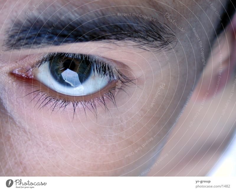 instant Man Pupil Eyelash Eyebrow Eyes Close-up Face Human being Head Skin