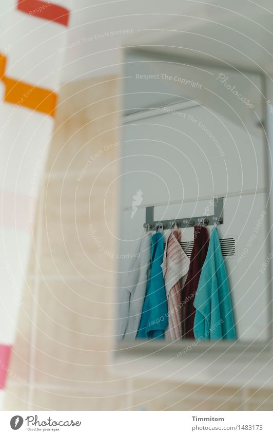Peeping Timmitom. Mirrored wardrobe Towel Towel hook Shower curtain Reflection Tile Bathroom mirror Observe Blue Orange Turquoise White Colour photo