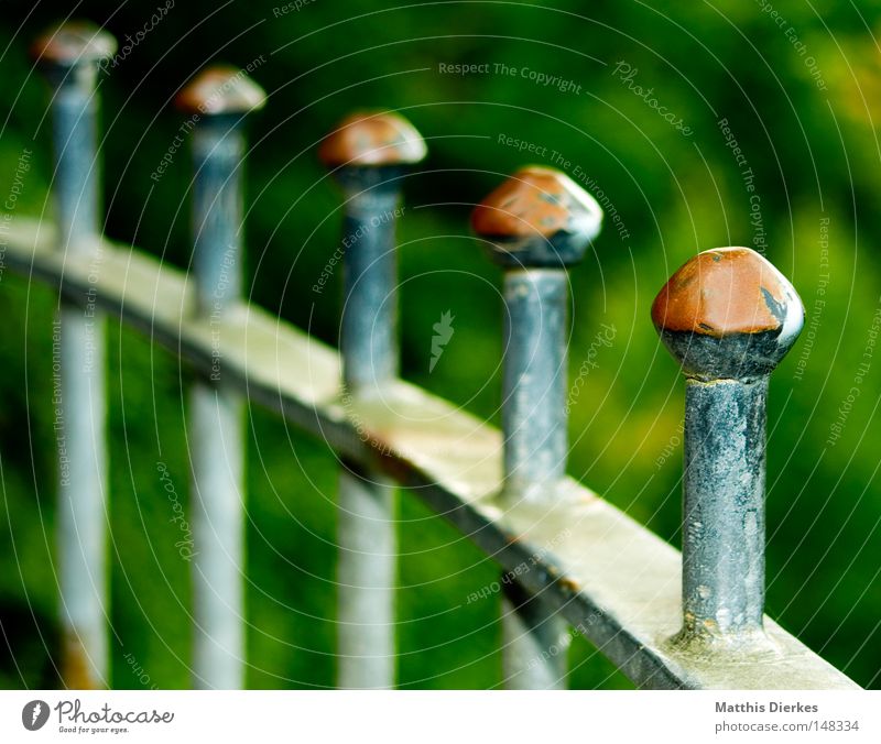 rail Column Fence Fence post Iron Rust Varnish Blur Background picture Depth of field Curved Squad Roll call March Barrier Bans Confine Captured Private Green