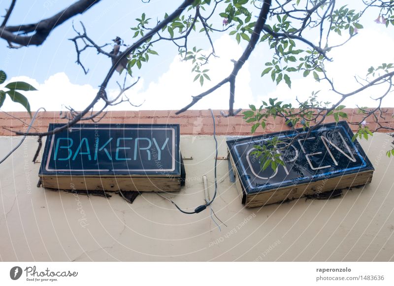 Core competence: Baking Dough Baked goods Nutrition To enjoy Bakery Problem solving Incomplete Signs and labeling Advertising outdoor advertising Clue Tilt