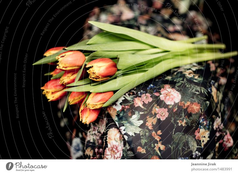 Spring with Tulips II Lifestyle Feasts & Celebrations Valentine's Day Mother's Day Feminine 1 Human being Plant Flower Dress Sit Multicoloured Orange Happy