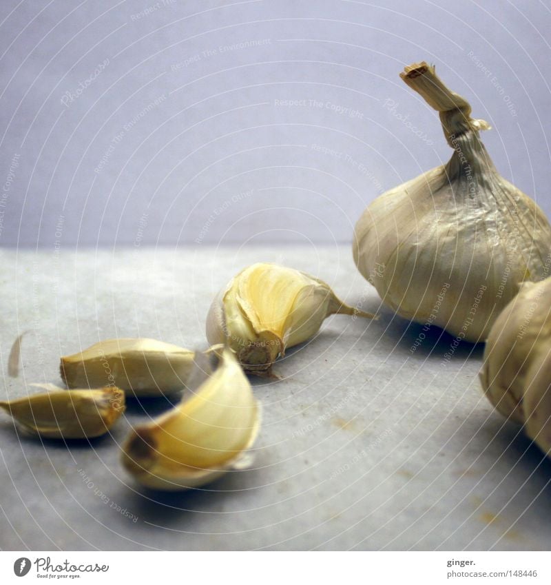Healthy, tasty and helps against vampires Delicious Gray White Garlic Odor Pleasant Demanding Hearty Meal Medicinal plant Toes Onion Bad breath Garlic bulb