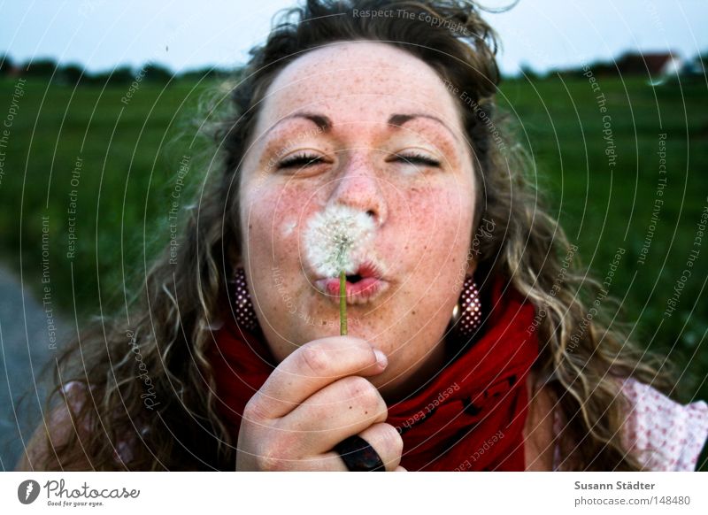 PusteSuse Dandelion Stamen Pollen Blow Curl Earring Blonde Woman Feminine Wood Ring Hand Arm Eyes Linen Summer Physics Evening Field Meadow Agriculture Warmth