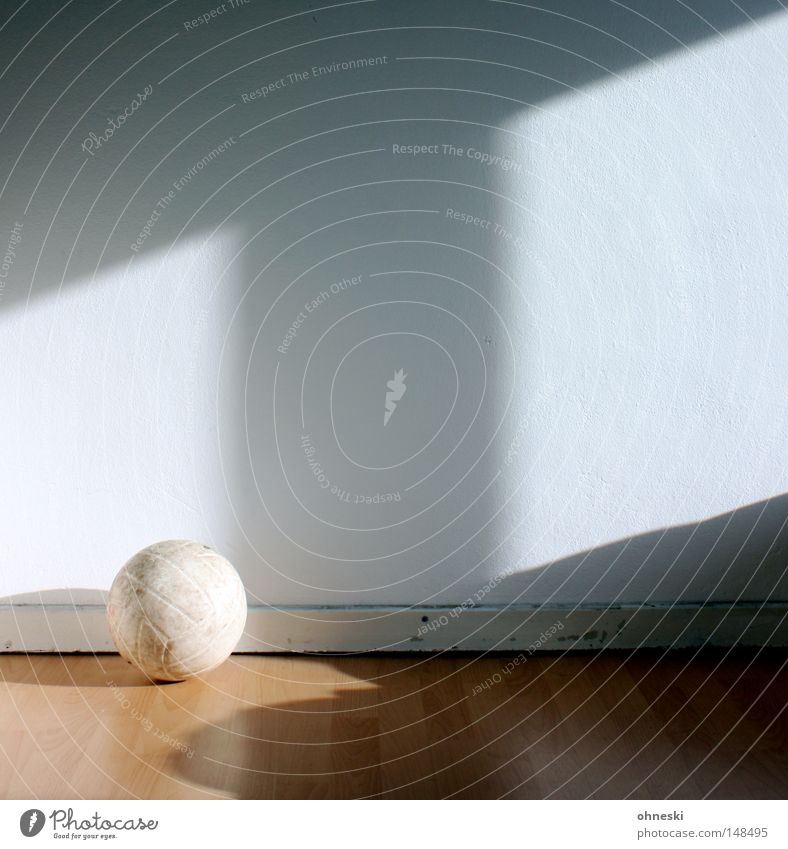volleyball Volleyball (sport) Ball Wall (building) White Shadow Floor covering Laminate Room Light Shaft of light Window Bright Morning Leisure and hobbies