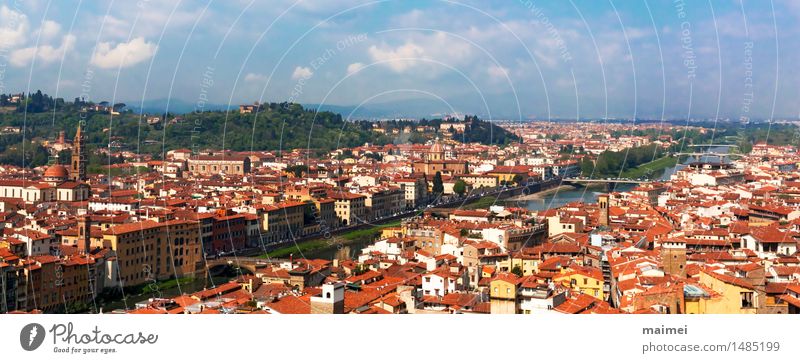 The view of the roofs of Florence and the Arno Tourism Sightseeing City trip Water River Town Old town Bridge Manmade structures Architecture Tourist Attraction