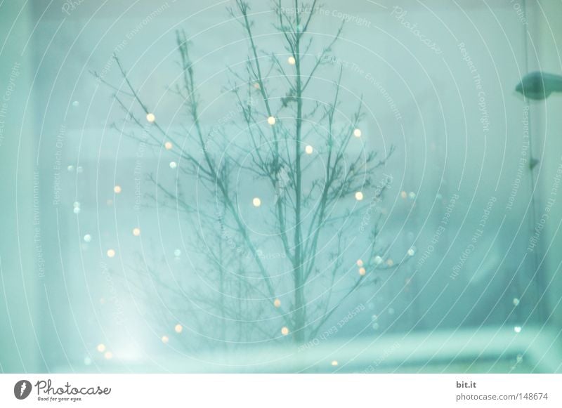 LIGHTS FOR SHIPS Christmas & Advent Tree Light Blue Glittering Lamp Kitsch Bright Delicate Esthetic Point Sky
