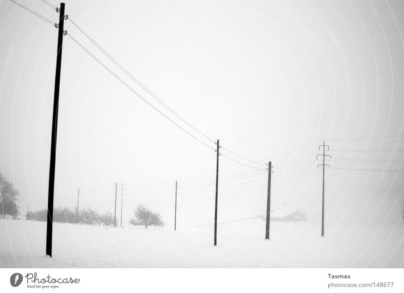 snow Far-off places Winter Snow Fog Gloomy Gray Boredom Loneliness Electricity pylon Telegraph pole High voltage power line Doomed Cover up Snow layer in grey