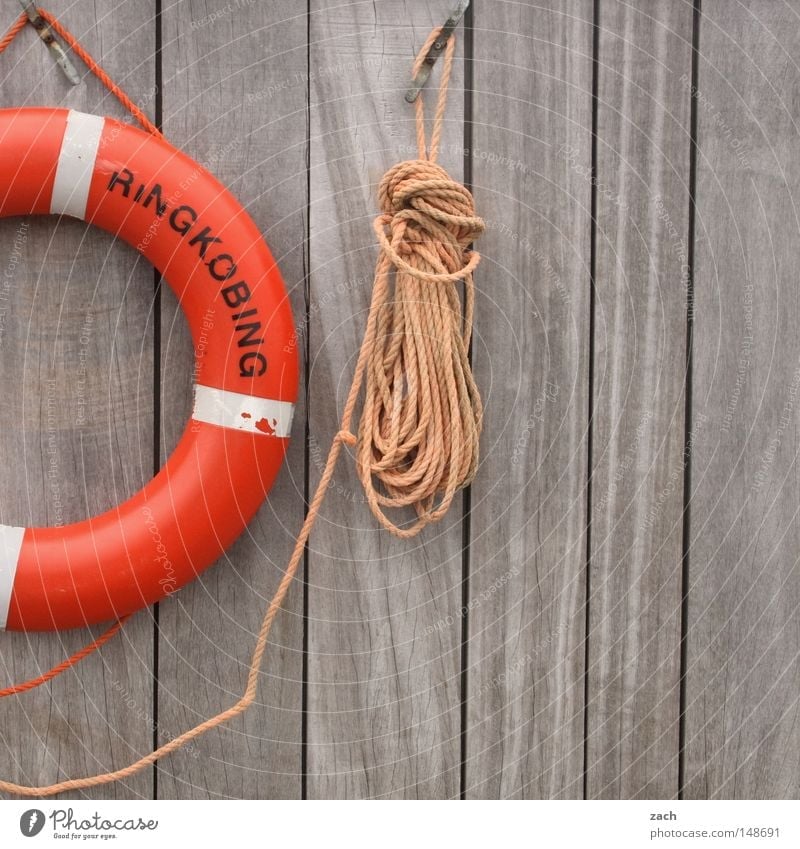 lifebelt Life belt Rescue Lifeguard Malibu String Rope Wall (building) Wood Wooden wall Drown Ocean Lake Fear Panic Safety Hasselhof drowned Water
