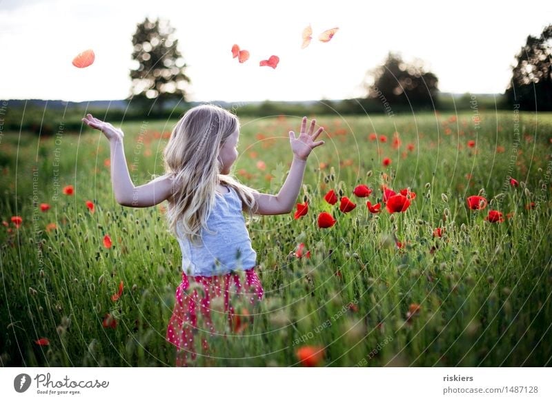 summer mood Human being Feminine Child Girl Infancy 1 3 - 8 years Spring Summer Beautiful weather Poppy field Field Blossoming Relaxation Smiling Illuminate