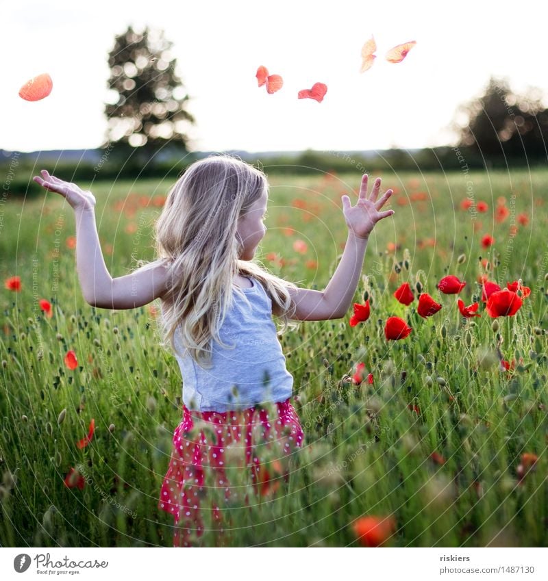 Summer in the heart Human being Feminine Androgynous Child Girl Infancy 1 3 - 8 years Nature Sunlight Beautiful weather Plant Flower Poppy Poppy field Field